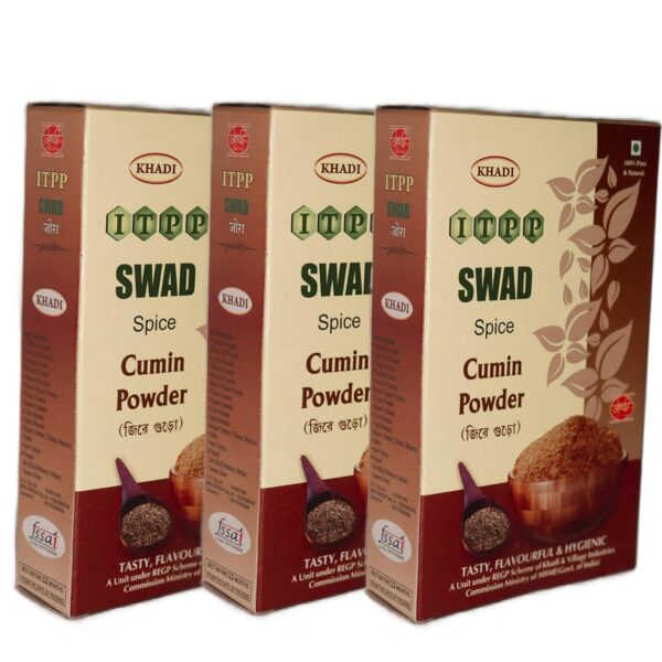 ITPP SWAD Pire Cumin Powder 100G (Pack Of 3)