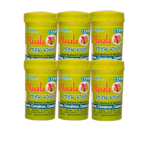 KHADI ITPP SWAD Pure Garam Masala 10 grams (Pack Of 6)